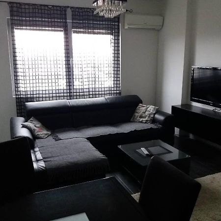 Tijana Apartment Ниш Екстер'єр фото