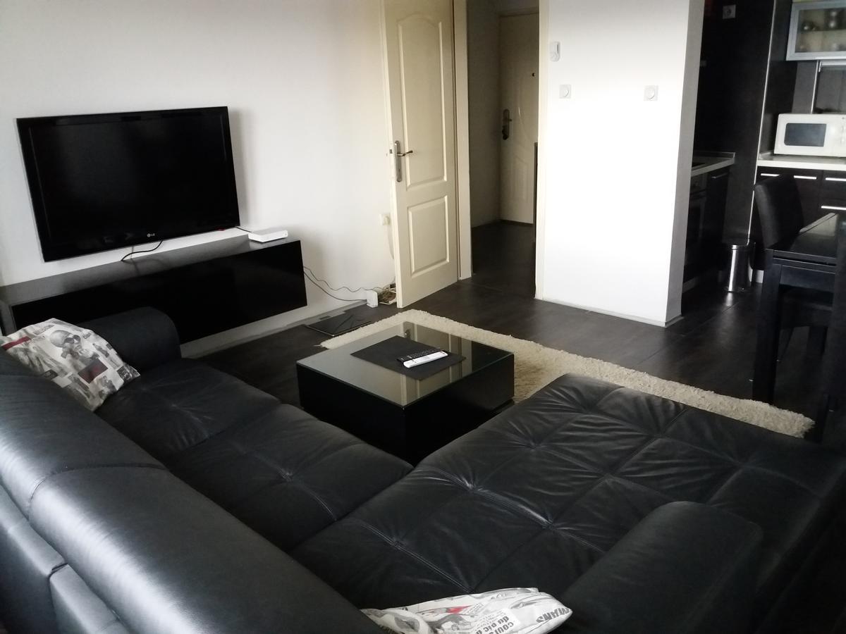 Tijana Apartment Ниш Екстер'єр фото