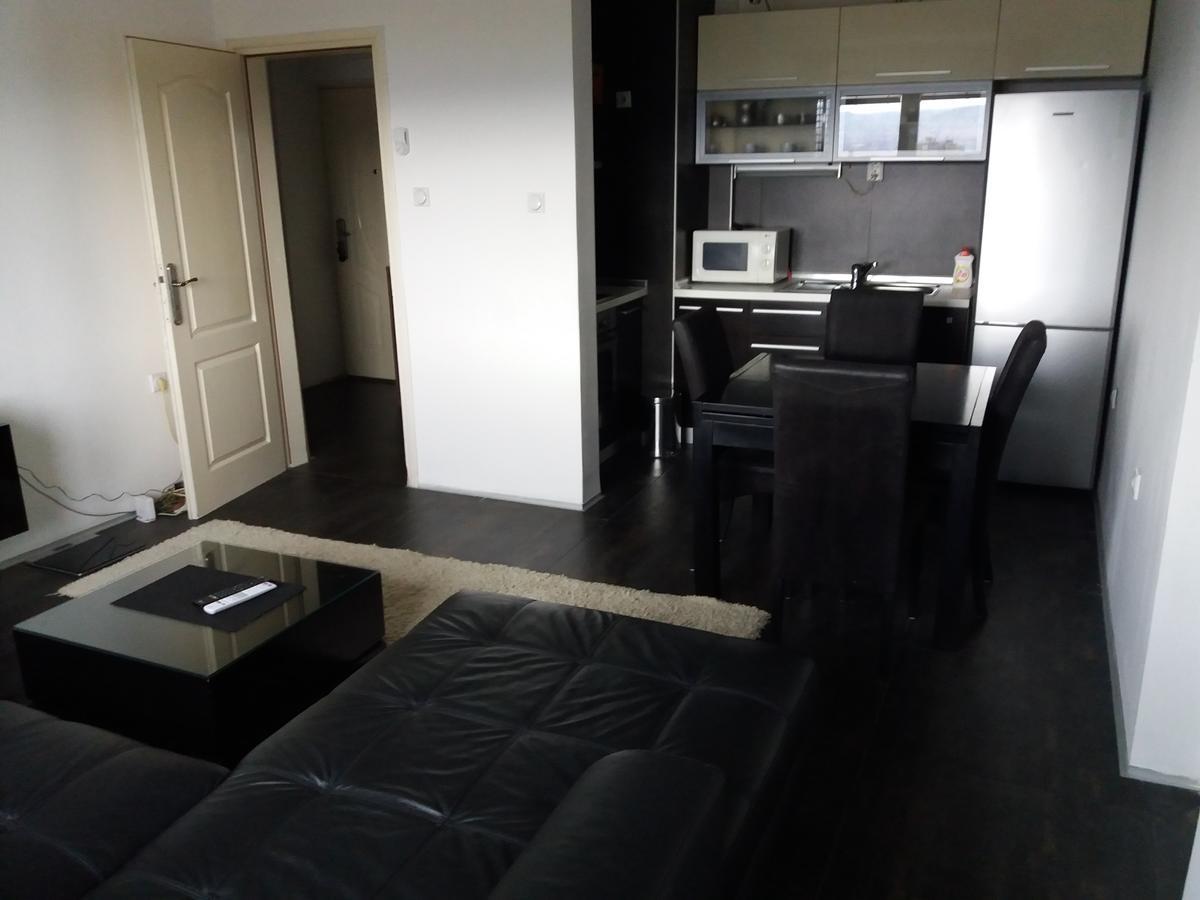Tijana Apartment Ниш Екстер'єр фото
